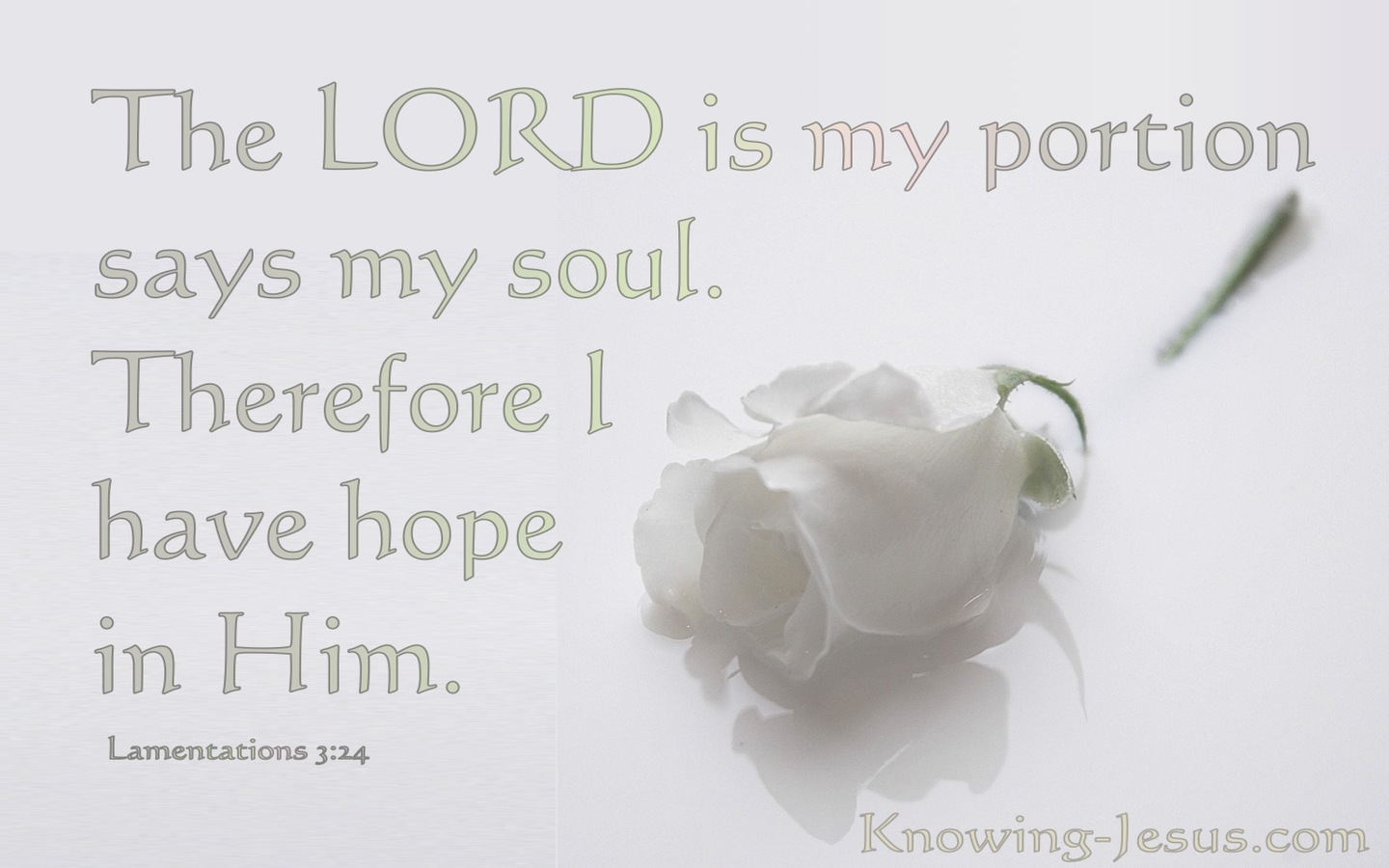 Lamentations 3:24 The Lord Is My Portion. I Hope In Him (white)